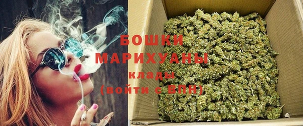 спиды Новозыбков