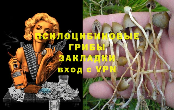 спиды Новозыбков