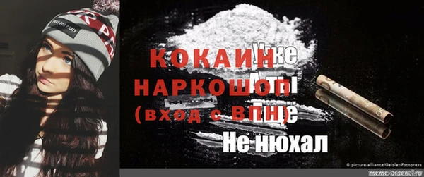 спиды Новозыбков