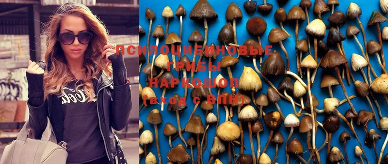 Псилоцибиновые грибы Psilocybine cubensis  где купить наркоту  Кирово-Чепецк 