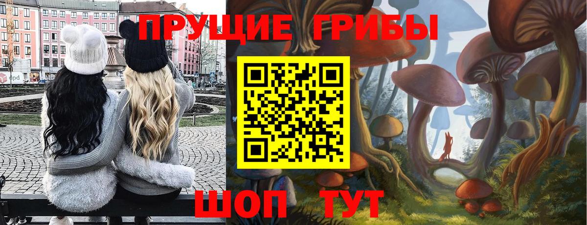 Псилоцибиновые грибы Magic Shrooms Кирово-Чепецк